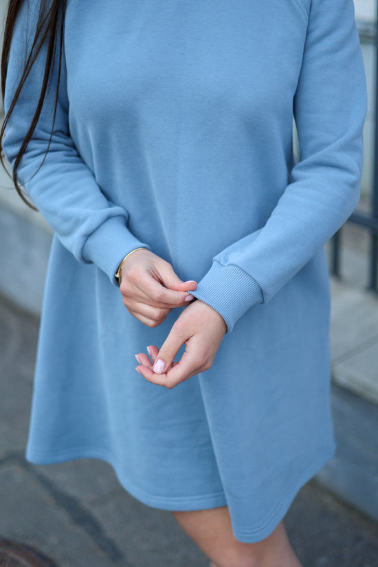 Sofi Mini Dress
